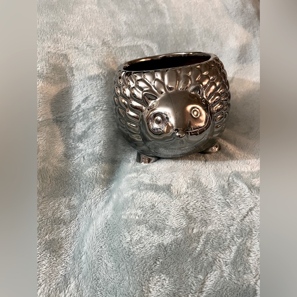 Unknown brand, hedgehog/porcupine. I can’t figure out which!